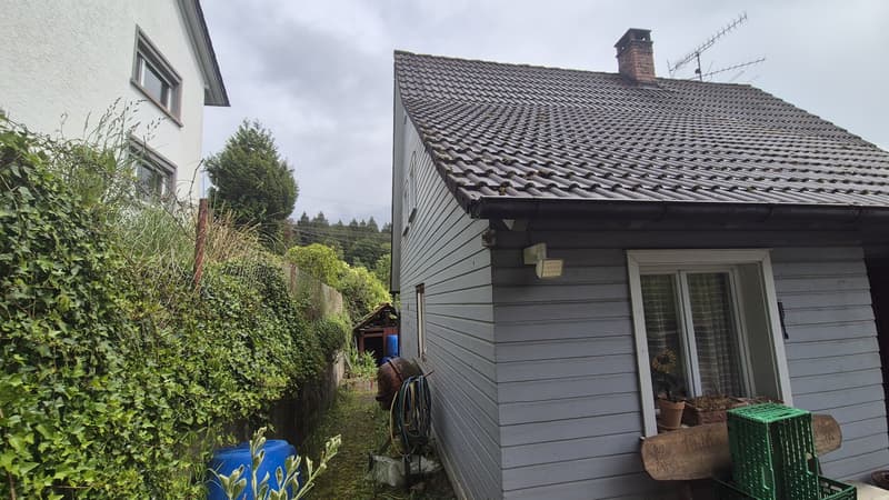Seitenansicht