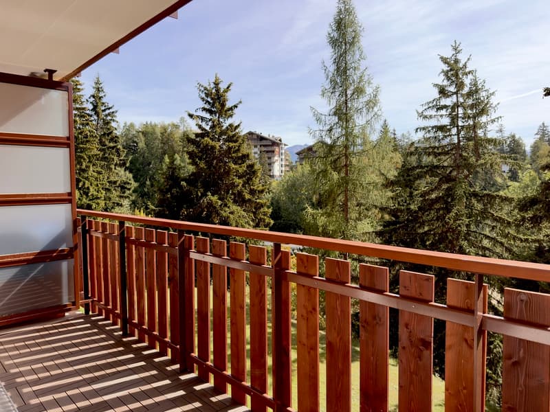 Terrasse / Terrace / Terrazza