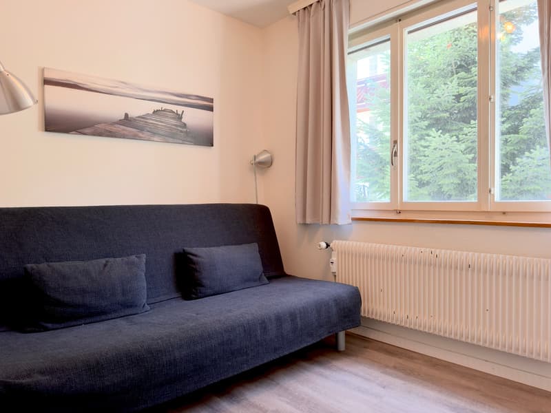 Chambre canapé lit / Room with a sofa bed / Camera con divano letto