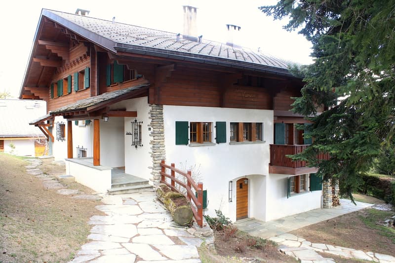 LOC 113 - CHALET HAUT-PRAZ (1)