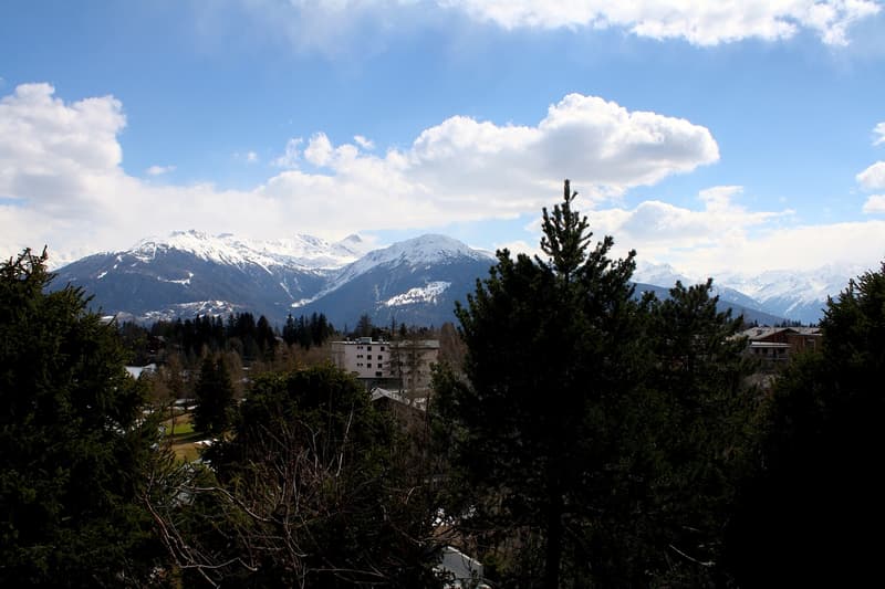 LOC 113 - CHALET HAUT-PRAZ (13)