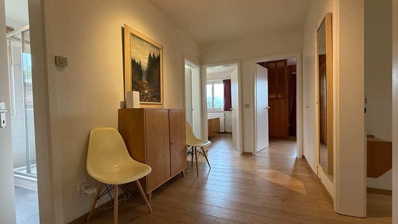 Hall d'entrée - Distribution / Entrance hall - Distribution / Ingresso - Distribuzione