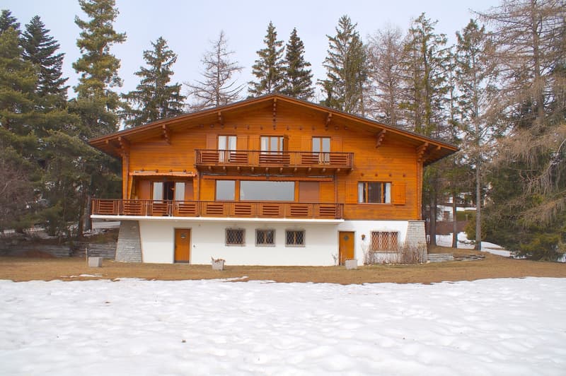 LOC 177 - CHALET RIANT SOLEIL (13)
