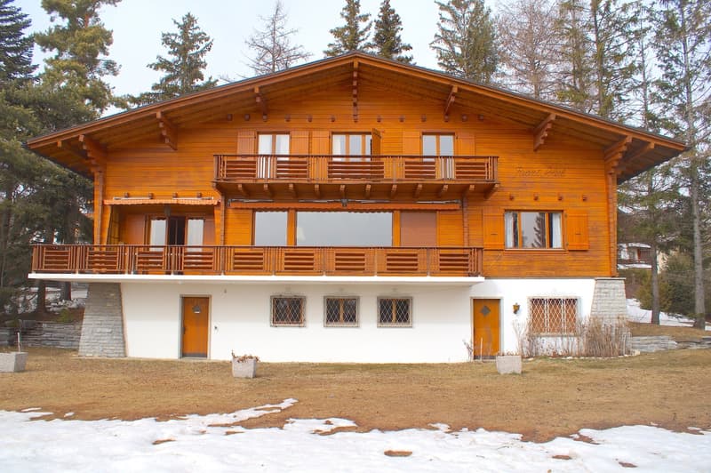 LOC 177 - CHALET RIANT SOLEIL (2)