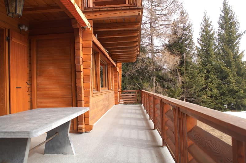 LOC 177 - CHALET RIANT SOLEIL (12)