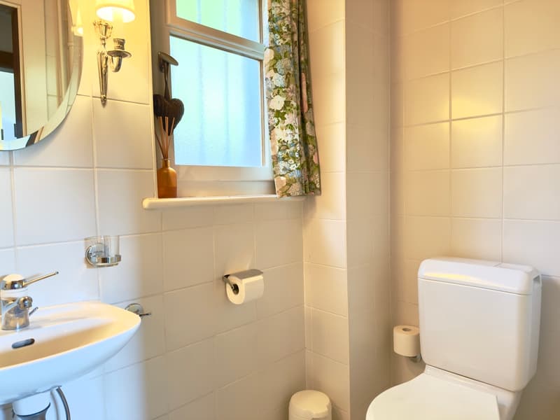 LOC 23 - CHALET POLLUX (11)