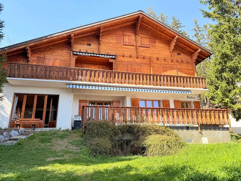 LOC 23 - CHALET POLLUX (1)