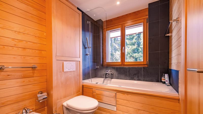 Salle de bain (1) / Bathroom (1) / Bagno (1)