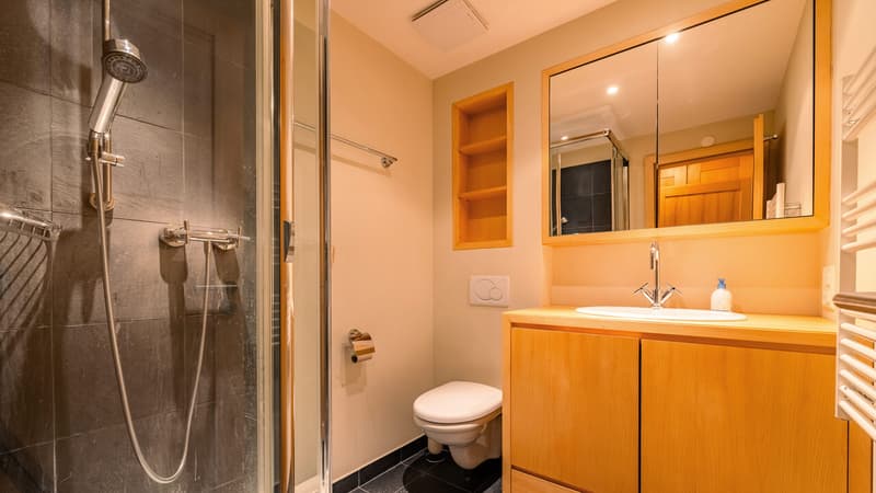 Salle de douche / Shower room / Bagno con doccia