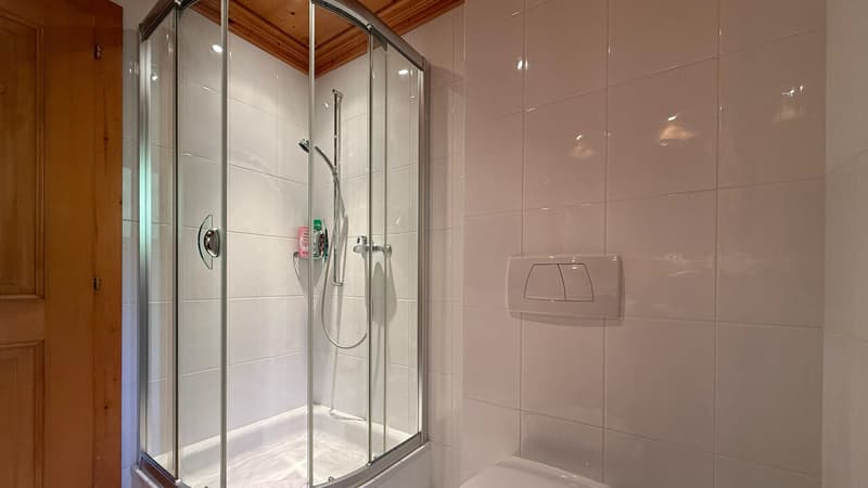 Salle de douche / Shower room / Bagno con doccia
