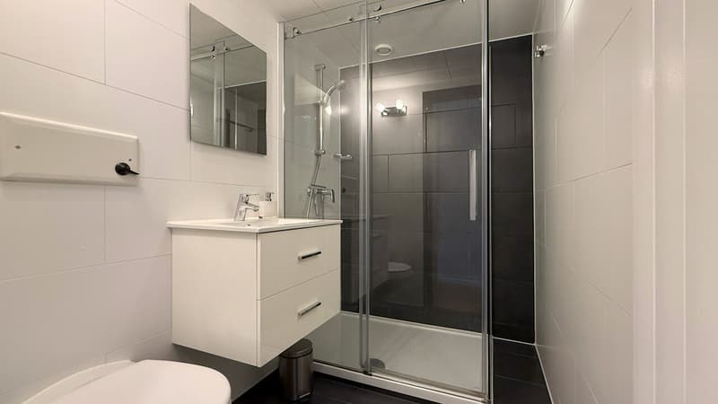 Salle de douche en suite, avec WC et lavabo / En-suite shower room with WC and washbasin / Bagno con doccia con WC e lavandino