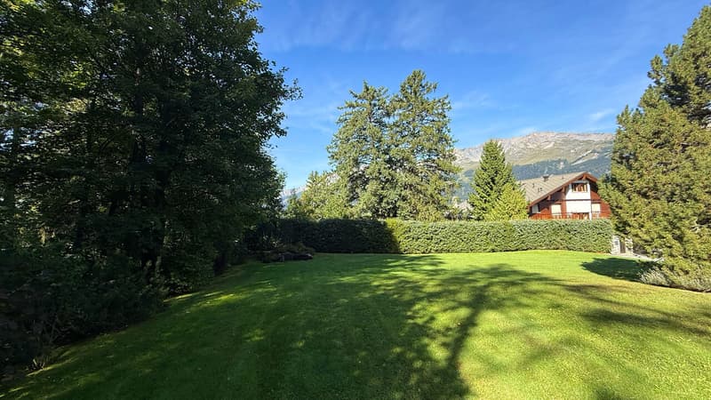 Vue depuis le chalet / View from the chalet / Vista dallo chalet