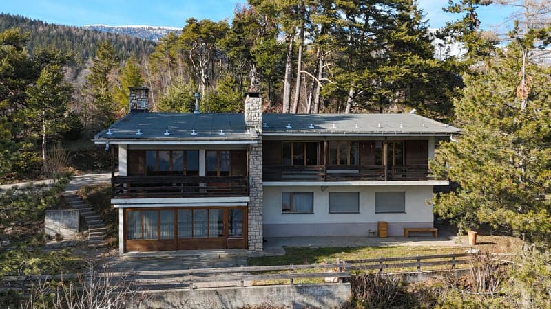 Vue extérieure depuis l'avant (Sud) de la propriété / Exterior view from the front (south) of the property / Vista esterna dalla parte anteriore (sud) della proprietà