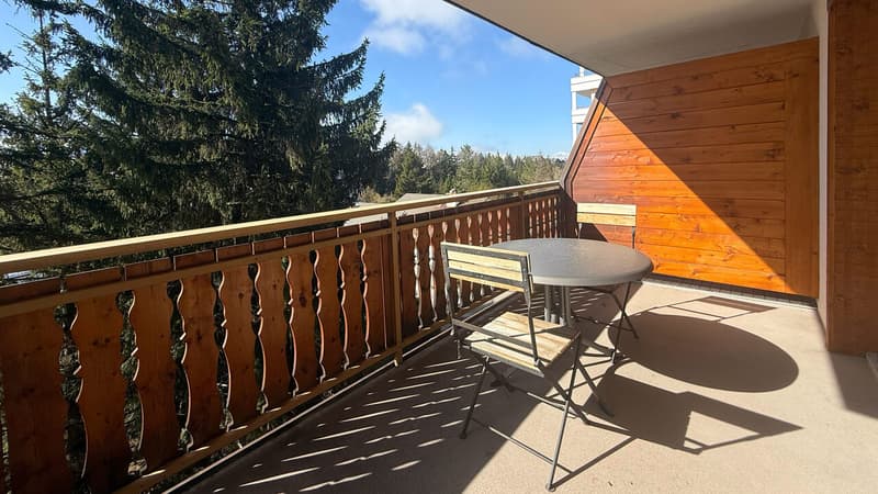 Balcon Sud / South balcony / Balcone sud