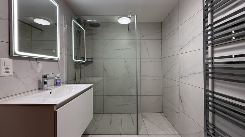 Salle de douche / Shower room / Bagno con doccia