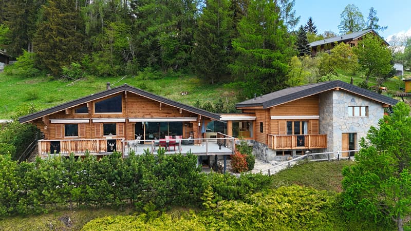 Extérieur du chalet - Vue 2
