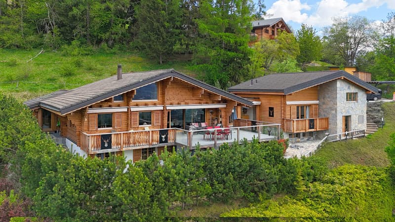 Extérieur du chalet - Vue 1