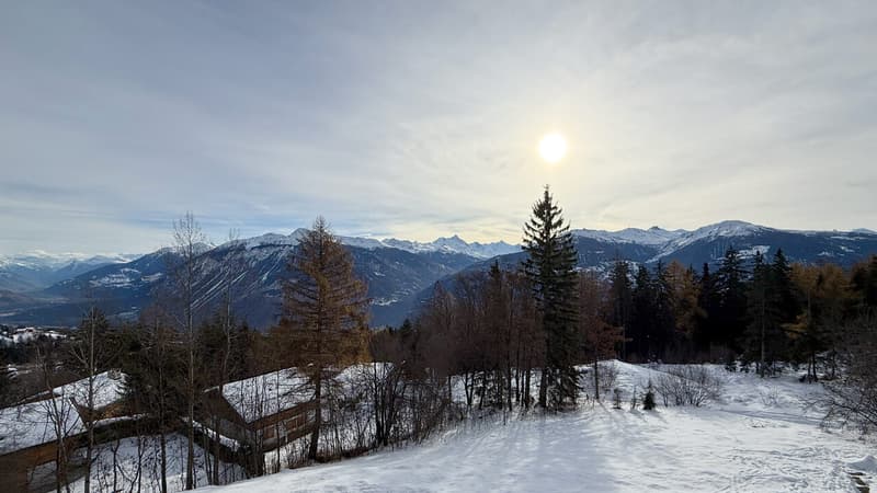 Magnifique vue sur les Alpes valaisannes (Exposition Sud) / Magnificent view of the Valais Alps (south-facing) / Magnifica vista sulle Alpi vallesane (esposizione a sud)