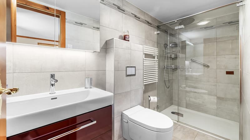 Chambre double 2 - Salle de douche / Double room 2 - Shower room / Camera doppia 2 - Bagno con doccia