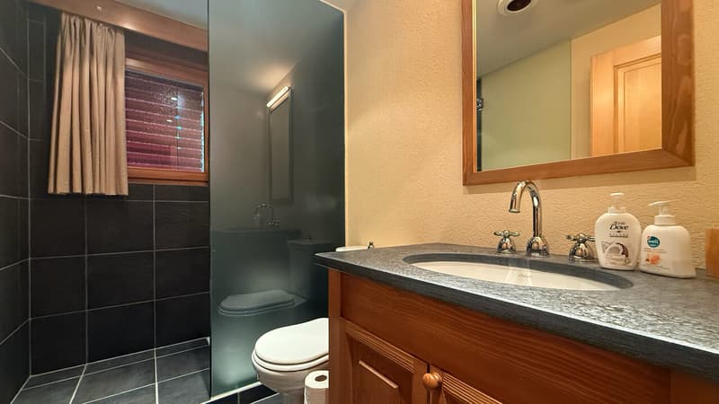 Salle de douche privative de la chambre secondaire avec WC et lavabo / Private shower room in secondary bedroom with WC and washbasin / Bagno privato con doccia nella camera secondaria con WC e lavabo