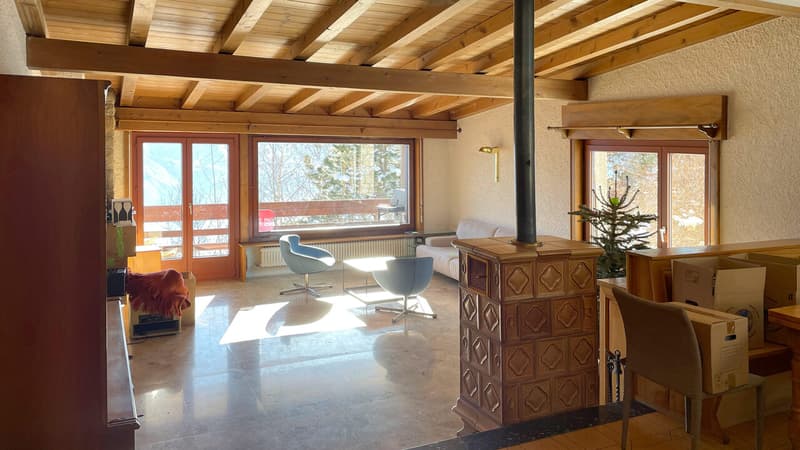 Séjour avec poêle à bois / Living room with wood-burning stove