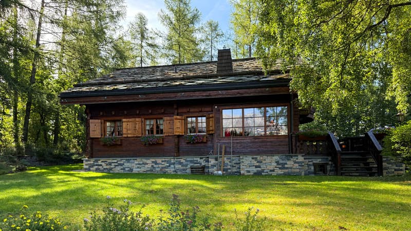 Extérieur chalet - Vue latérale / Chalet exterior - Side view / Esterno dello chalet - Vista laterale