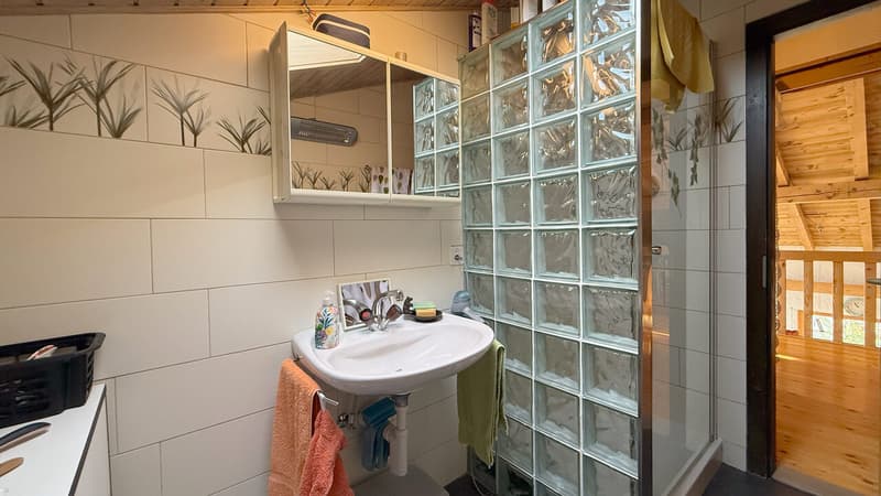 Chalet - Salle de douche / Chalet - Shower room / Chalet - Bagno con doccia
