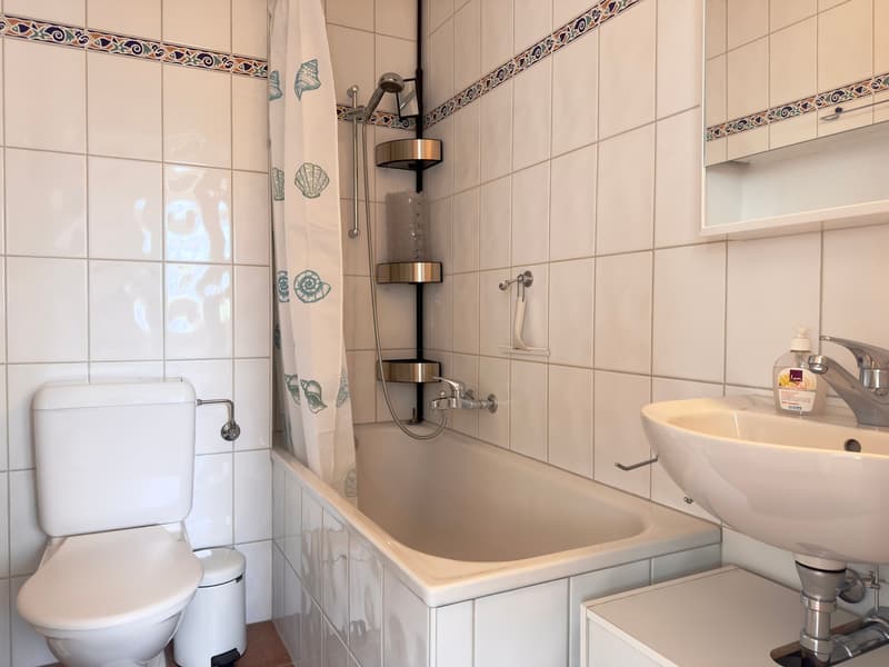 Salle de bains / Bathroom / Bagno