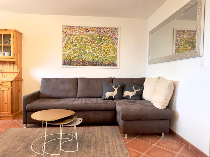 Séjour / Living Room / Soggiorno