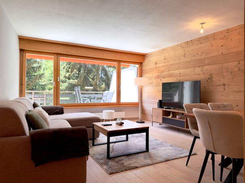 séjour / living room / soggiorno