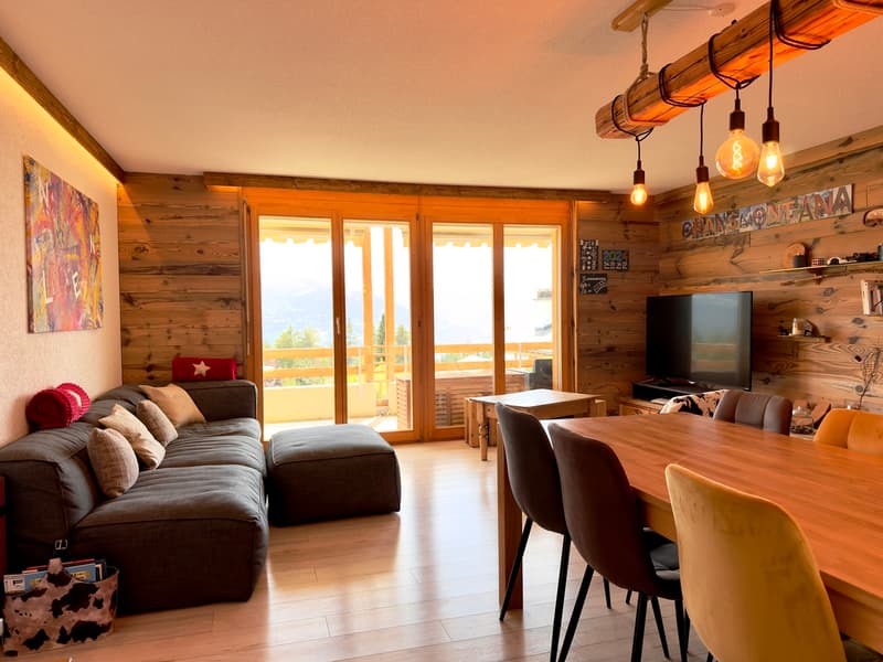 Séjour / Living Room / Soggiorno
