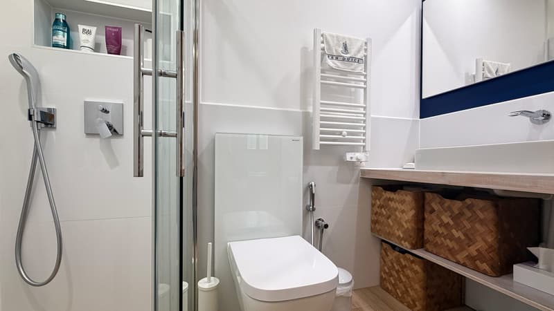 Salle de douche séparée, avec WC et lavabo / Separate shower room with toilet and sink / Bagno con doccia separata, con WC e lavabo
