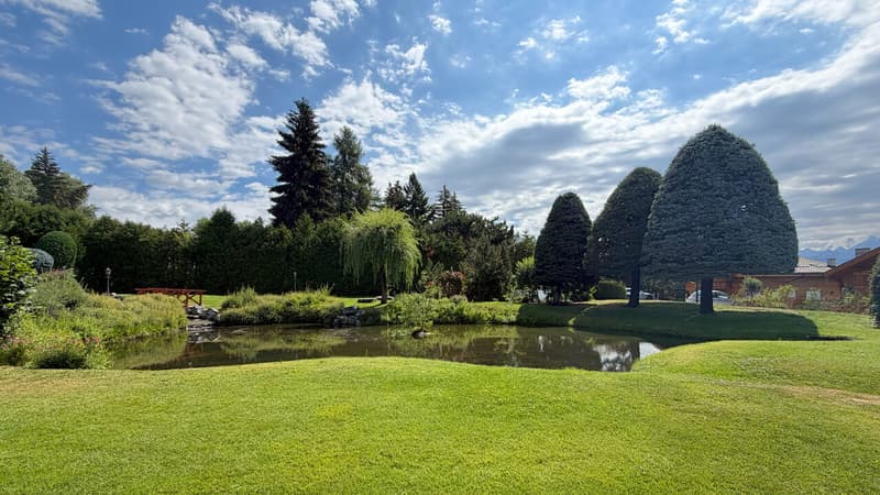 Étang extérieur / Outdoor Pond / Lago all'aperto