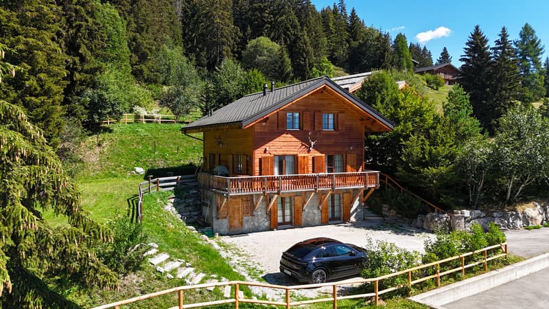 LOC 242 - CHALET LES SOURCES (1)
