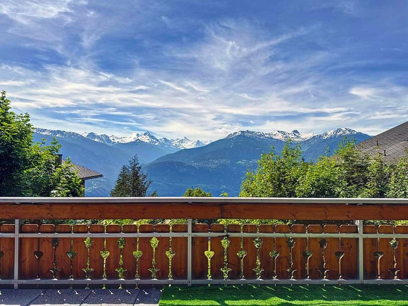 Vue depuis la terrasse principale / View from the main terrace / Vista dalla terrazza principale
