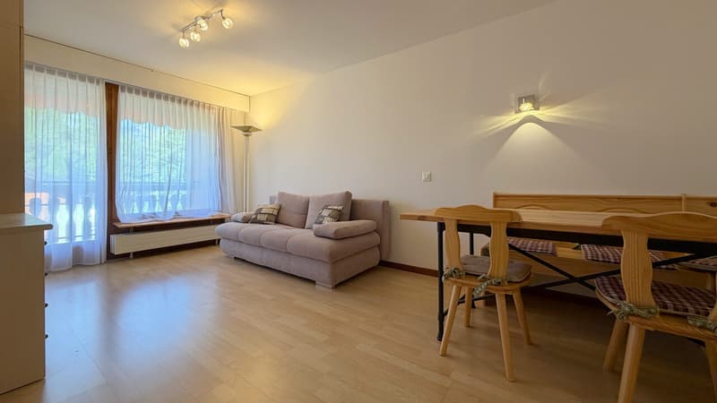 Studio 1 - Séjour / Studio 1 - Living Room / Monolocale 1 - Soggiorno