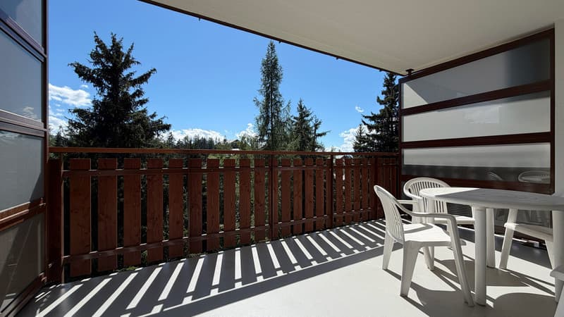 Grand balcon privatif / Large private balcony / Ampio balcone privato