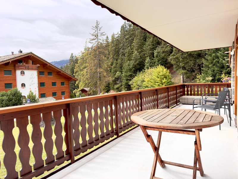 Terrasse / Terrace / Terrazza