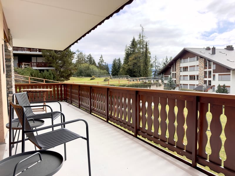 Terrasse / Terrace / Terrazza