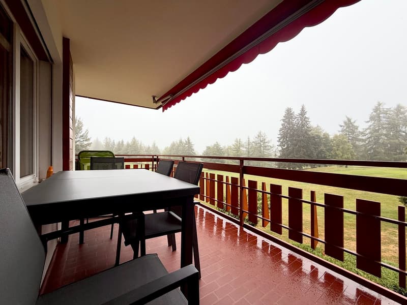 Terrasse / Terrace / Terrazza