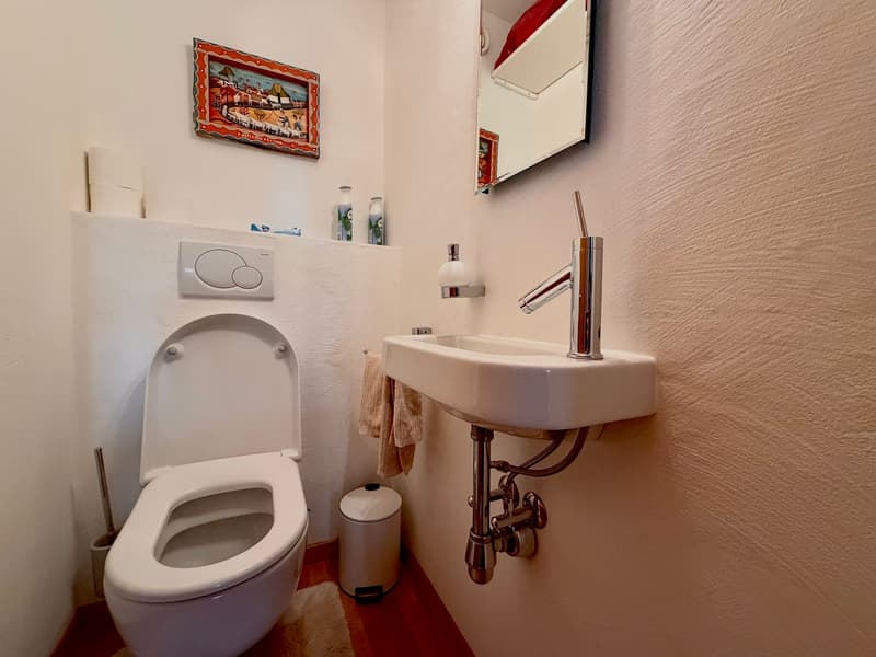 W.C. visiteurs  / Guest Restroom  / Servizi igienici per gli ospiti
