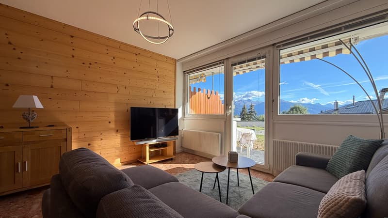 LOC 34 - LES PINS (1)
