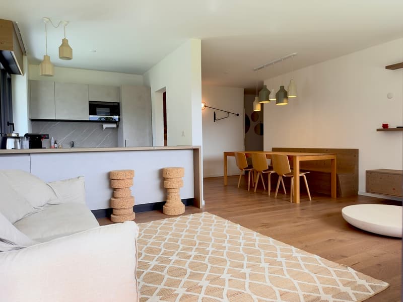 Séjour / Living Room / Soggiorno
