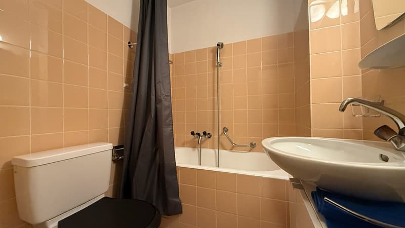 Salle de bain avec WC et lavabo / Bathroom with WC and washbasin / Bagno con WC e lavabo