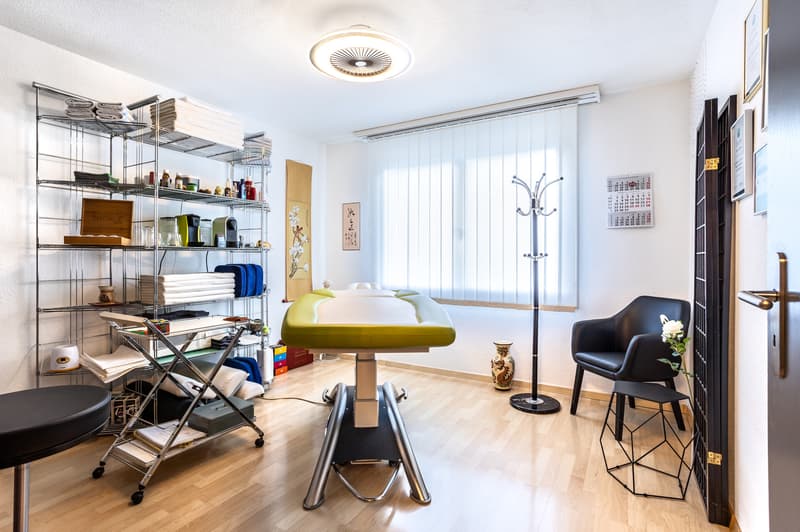 EFH Spreitenbach-31