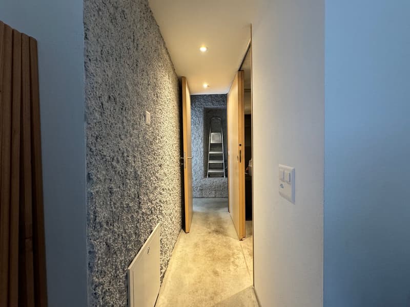 Exclusive 5.5-room apartment in historic building in Lugano Carona (9)