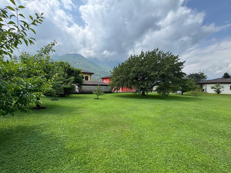 Bauland in privilegierter Lage in Camignolo (3)