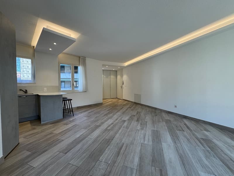 Appartement de 3,5 pièces à Lugano dans un quartier privilégié (6)