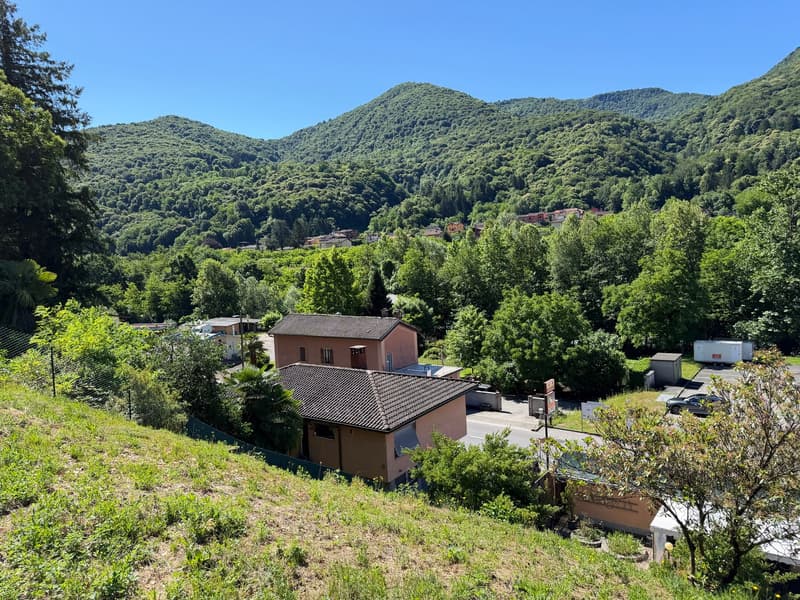 Terrain constructible avec vue panoramique à Monteggio (3)