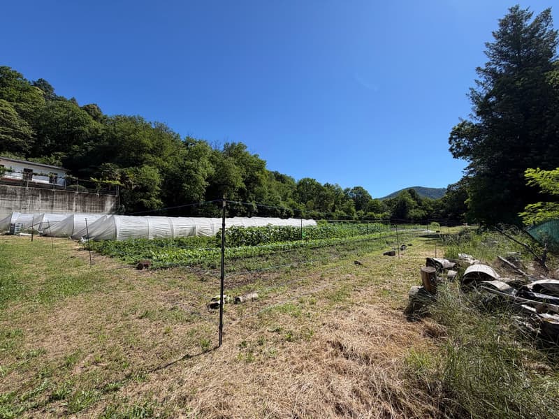Terrain constructible avec vue panoramique à Monteggio (1)